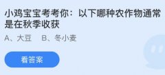 以下哪种农做物凡是是正在秋季收成？蚂蚁庄园